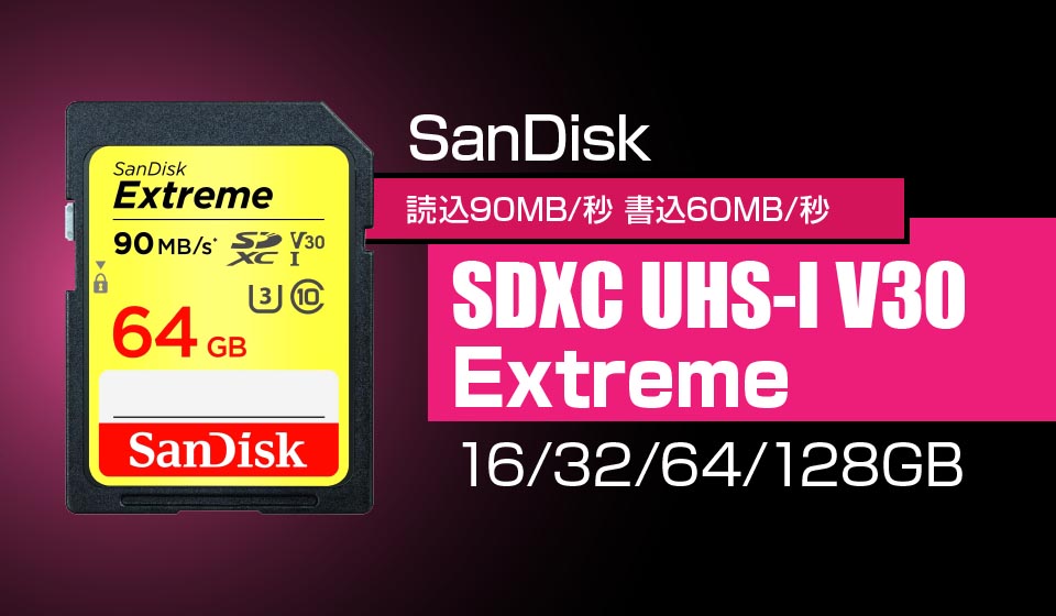 SandiskExtreme SDHC UHS-I SDカード 100枚